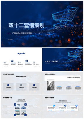 2025双十二IT互联网营销策划竞对策略消费心理品牌产品竞争力PPT模板