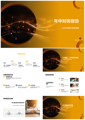 2025上半年财务策略调整与行业对比分析PPT模板