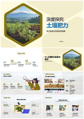 2025土壤肥力测定与持续改良管理策略PPT模板