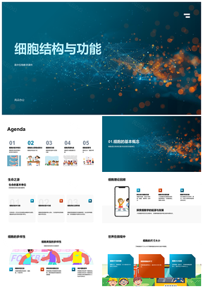 2025高中生物细胞结构功能教学课件