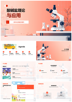 2025初中化学酸碱盐理论教学课件