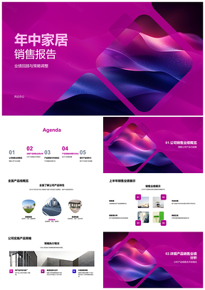 2025年中家居销售业绩策略产品线市场分析PPT模板