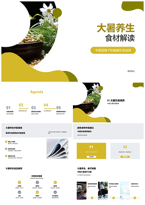 2025大暑养生食材中医荐健康饮食选购储存技巧PPT模板