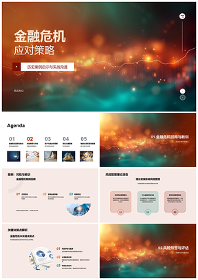 2025金融危机应对策略历史案例与风险管理决策PPT模板