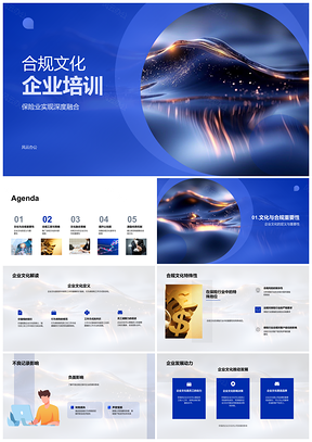 2025保险业高层合规文化培训与风控机制建设PPT模板