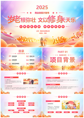 2025炫彩创投助老社区公益项目汇报PPT模板