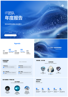 2025IT团队年度成果技术业务提升协作文化克挑战PPT模板
