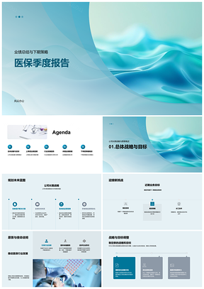2025医保季度业绩总结下期策略与长期战略PPT模板