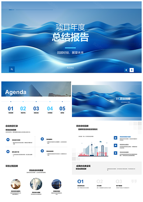 2025项目年度评估总结执行成效经验与规划PPT模板
