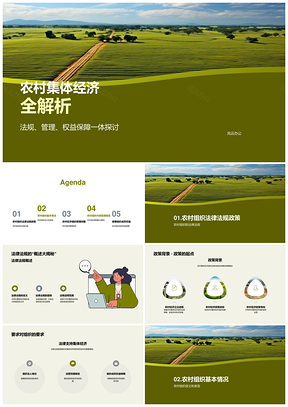 2025农村集体经济组织规范化建设法律政策解析PPT模板