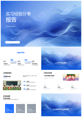 2025实习经验职业发展挑战成长公司文化工作环境岗位项目解决策略PPT模板