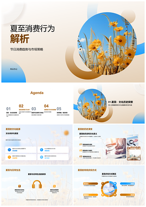 2025夏至消费趋势与品牌营销策略研究PPT模板