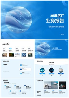 2025半年度IT业务进展及未来合作策略调整报告PPT模板
