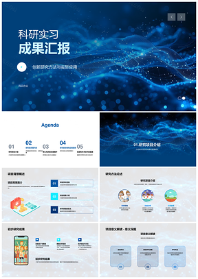 2025科研实习创新方法应用与项目成果PPT模板