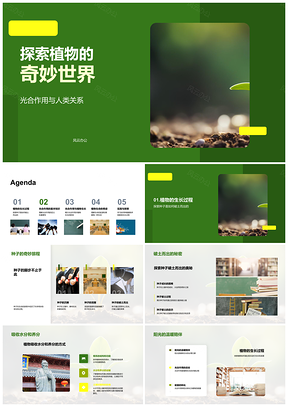 2025植物光合生长破土探秘水养阳光环保PPT模板
