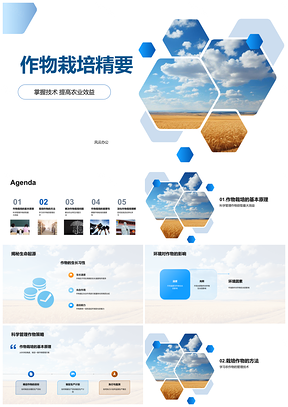 2025作物栽培选种管理技术提升农业效益PPT模板