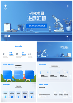 2025研究项目进展成果目标规划策略PPT模板