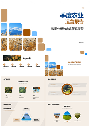 2025麦田季度运营数据分析与市场策略展望PPT模板