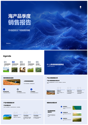 2025海产品销售策略市场趋势竞品分析AB推广调研报告PPT模板