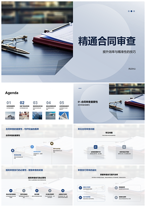 2025精通合同审查技巧提升效率精准处理法律条款PPT模板
