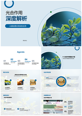 2025光合作用光暗反应与生态系统能量转化PPT模板