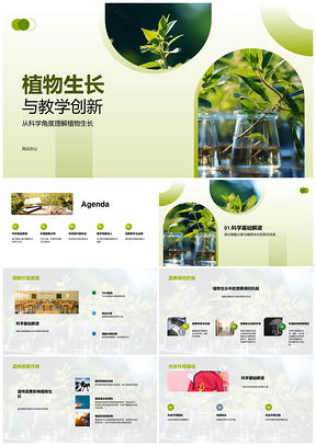 2025植物生长机理与创新教学研究PPT模板