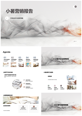 2025小暑营销市场动态创新策略消费行为趋势案例用户社媒KOL报告PPT模板