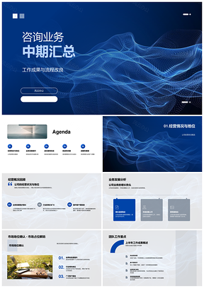 2025咨询业务中期项目管理流程优化发展行业报告PPT模板