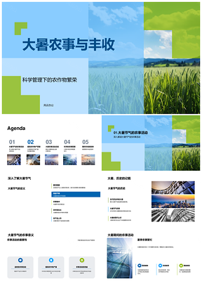 2025大暑农事科学管理促小麦丰收PPT模板