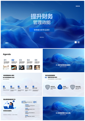 2025财务管理效能提升精细管理风控价值创造专业素养PPT模板