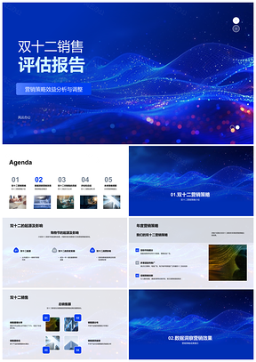 2025双十二营销策略销售数据评估报告PPT模板