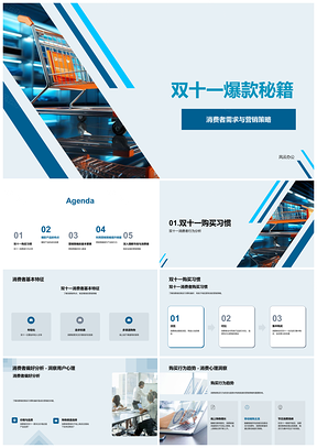2025双十一电商爆款秘籍消费者需求营销策略PPT模板