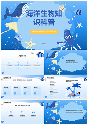 2025海洋生物保护知识科普教育培训PPT模板