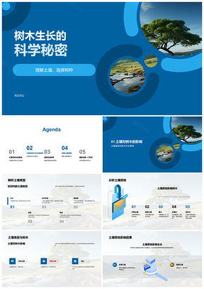 2025土壤气候水源如何影响树木生长PPT模板