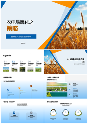 2025农电品牌化电商战略定位传播提升麦田附加值PPT模板
