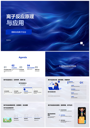 2025离子反应原理特性类型实验条件应用PPT模板