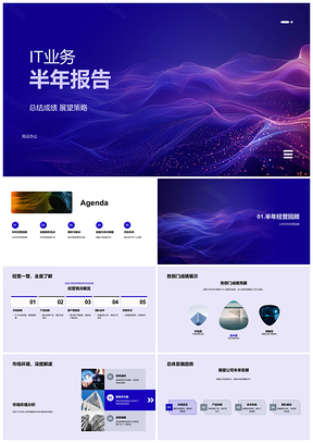 2025IT业务半年总结展望经营亮点解决方案PPT模板