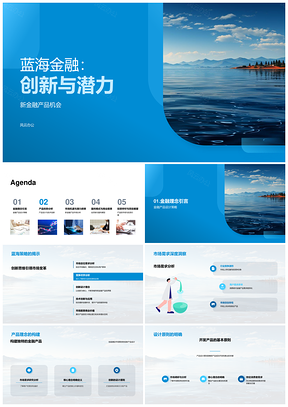 2025蓝海金融创新产品设计技术优势策略PPT模板