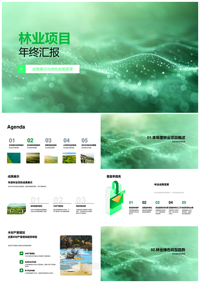 2025林业项目年终绿色转型发展覆盖产量政策技术汇报PPT模板