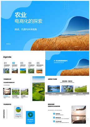 2025农业电商化驱动传统农业转型与可持续发展PPT模板