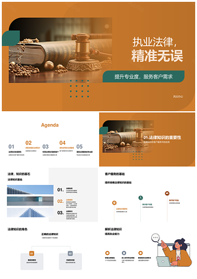 2025执业法律精准服务专业培训精进实务PPT模板