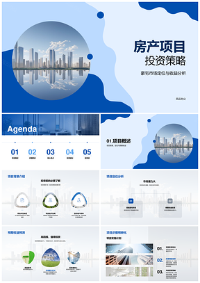 2025豪宅摩天大楼投资策略收益与政策分析PPT模板