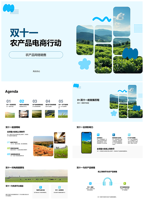 2025双十一农产品电商营销策略销售数据PPT模板