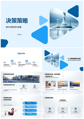 2025项目管理决策策略信息分析目标风险评估PPT模板