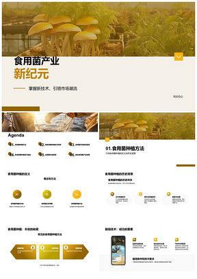 2025食用菌新技术助农专家看好市场前景PPT模板
