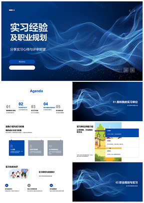 2025实习经验职业规划与专业能力人际交往PPT模板