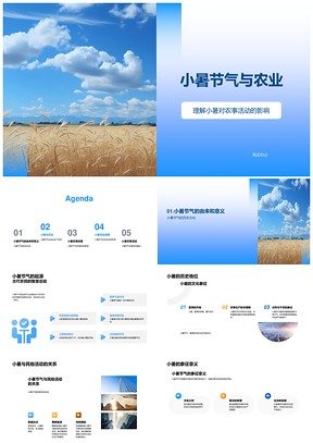 2025小暑农业夏季农事管理技术提示PPT模板