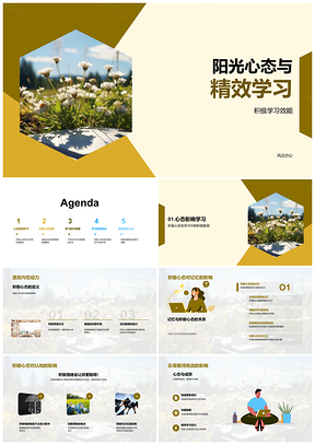 2025阳光心态驱动精效学习效能PPT模板