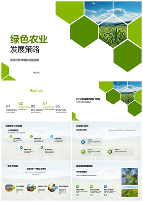 2025绿色农业公司战略农技营销可持续竞争力PPT模板
