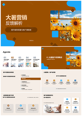 2025大暑营销客户反馈服务质量满意度向日葵分析PPT模板